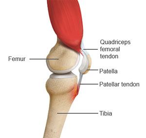 Adolescent Knee Problems